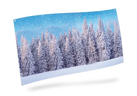 Snow Forest Png Snow Forestxchng Frost Tree Snowy Forest Winter