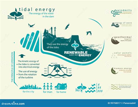 Infographics Renewable Source Of Tidal Energy Stock Illustration