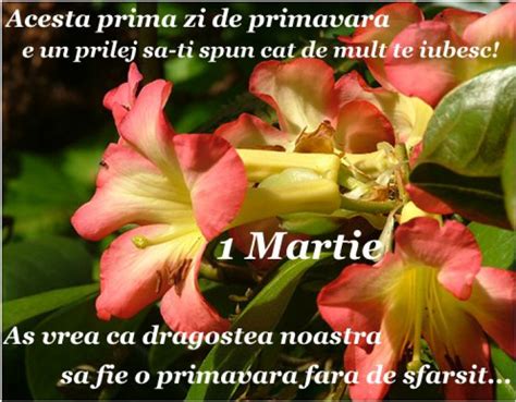 FelicitĂri 1 Martie Cele Mai Frumoase Felicitări Mesaje Urări şi Sms