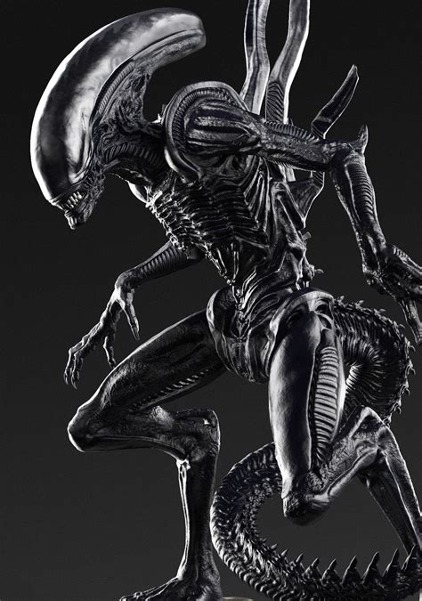 I Would Honestly Love Xenomorphs To Be In The Game Imagine Having An