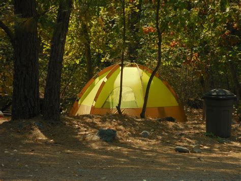 Maybe you would like to learn more about one of these? Coffee Creek Campground RV Park: Coffee Creek, California - Camp Native