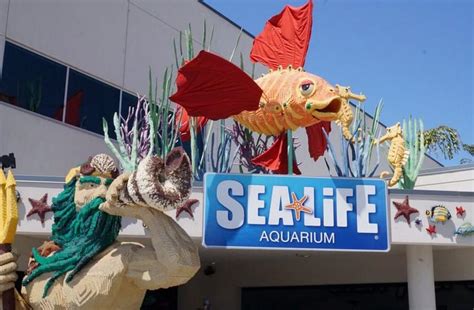 Sea Life Aquarium Discount Tickets Carlsbad California
