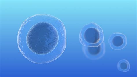Human Embryonic Stem Cells Molecular Stock Motion Graphics Sbv