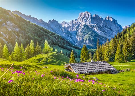 Alps Mountain Meadow Landscape Stock Photo 09 Free Download