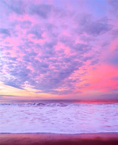 The sky is pink movie reviews & metacritic score: ocean, pink, purple, scenary, sea - image #308395 on Favim.com