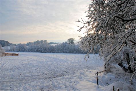 Winter Walk Free Photo Download Freeimages