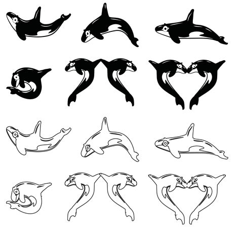 Orca Line And Glyph Icon Sea And Ocean Animals Orca Vector Icon
