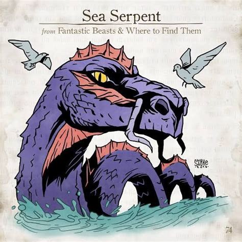 A sea serpent or sea dragon is a type of dragon described in various mythologies, most notably mesopotamian (tiamat), hebrew (leviathan), greek (cetus, echidna, hydra, scylla), and norse. Pin by Kyrie Clutch on Criaturas Mágicas | Wizarding World ...