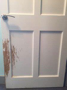 They have a diy way but i want others advice. Indoor Cat Fence - The Indoor System - CatFence