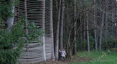 Forest Temple Temporary Architecture Modern Installation Lithuania