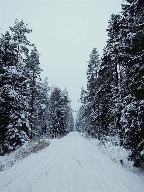 Winter Landscape Nature Forrest At Greifensteine Johannes Hulsch Flickr