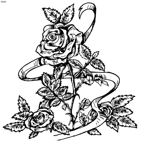 Coloring image by barbara ames mandala coloring pages flower. Coloring Pages Of Roses | Rose coloring pages, Coloring ...