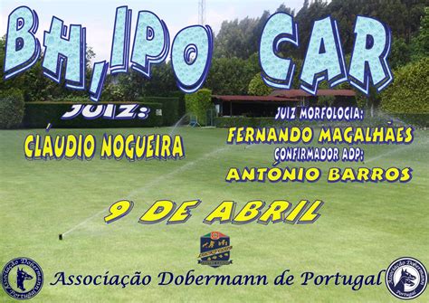 Trainer walks pack of dogs without a leash. BH/IPO - 9 Abril 2017 - Associação Dobermann de Portugal