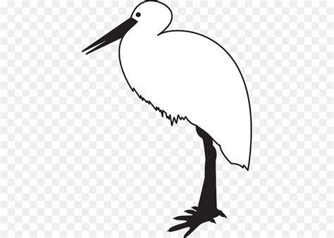 Burung lang kepala putih ialah haiwan yang tergolong dalam golongan benda hidup bertulang belakang. Paling Keren 30 Gambar Kartun Hitam Putih Burung - Kumpulan Gambar Kartun