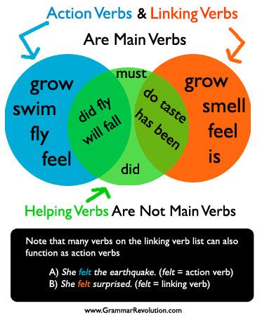 Linking verbs are sometimes described as performing the function of an equal sign because they provide the connection between the subject of a sentence and a certain. What is a verb?