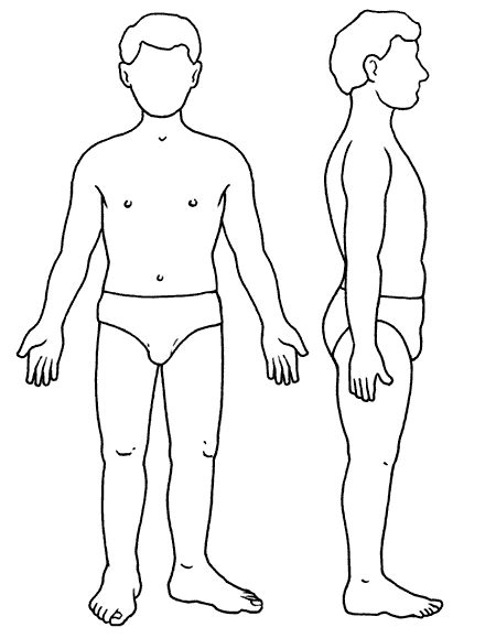 Desenho Do Corpo Humano Texto Online
