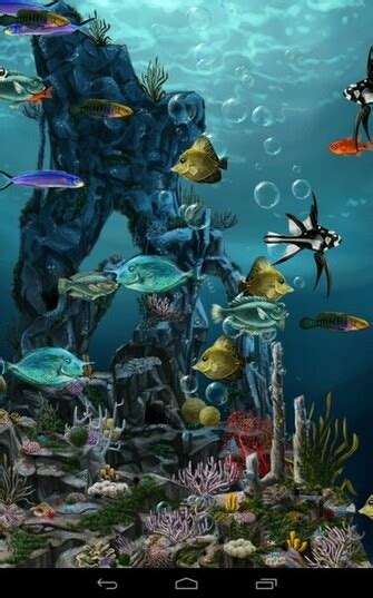 Free Download Download Now Coral Reef Aquarium Animated