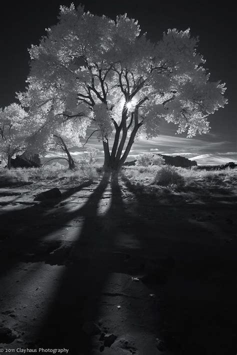 Pin By Xeno Phrenia On Surreality 04 White Photography Black And