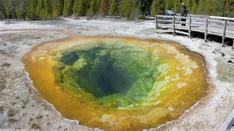Get To Know Morning Glory Pool Yellowstone Naturalist