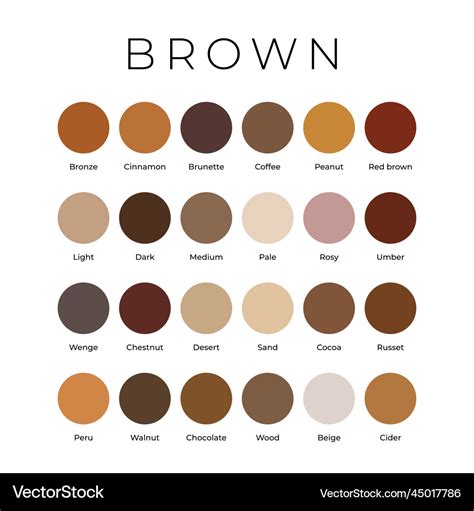 Brown Color Shades Swatches Palette With Names Vector Image