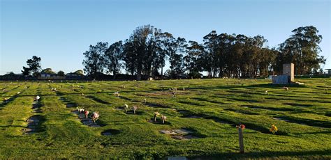 Best Practices For Cemetery Lawn Maintenance Ecofert