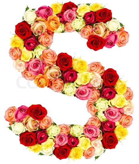 S Roses Flower Alphabet Stock Photo Colourbox