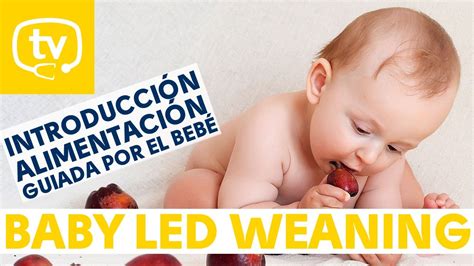 El Baby Led Weaning Alimentación Complementaria Guiada Por El Bebé