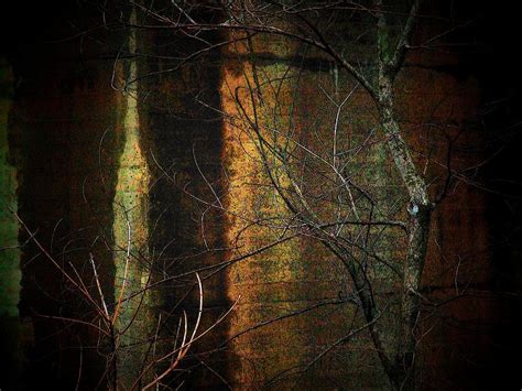 Bridge And Tree Photograph By Michael L Kimble Fine Art America