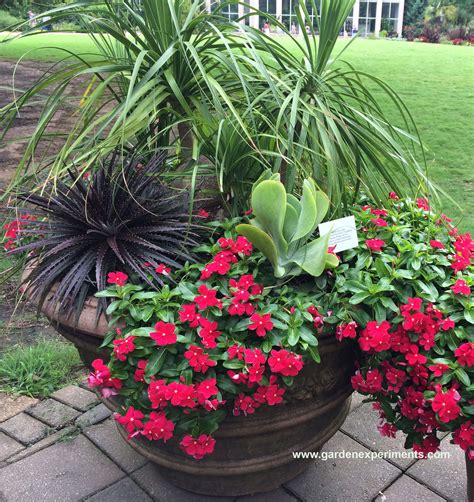 Ideas For Container Gardens