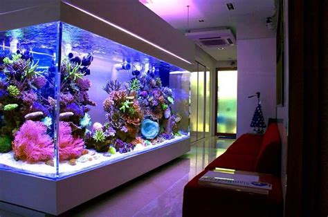 The 20 Most Lavish Home Aquariums In The World Amazing Aquariums