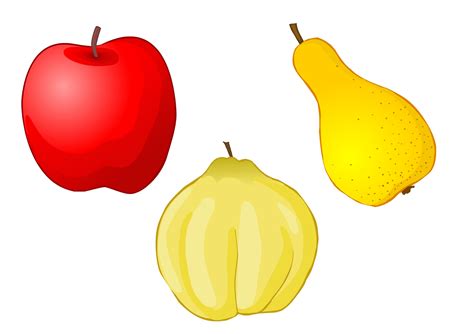 Ilustratii Cu Fructe Si Legume Planse Colorate Fise De Lucru