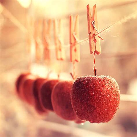 Creative Still Life Photography Ideas By By Arefin Ashraful 99inspiration