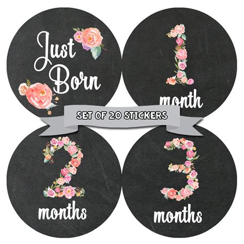 Baby Monthly Milestone Stickers First Year Set Of Baby Girl Month