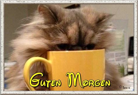 Guten Morgen | Online image editor, Image editor, Online images
