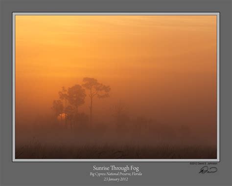 This Image Is Copyrighted By The Owner Landscape Sunrise Cypress