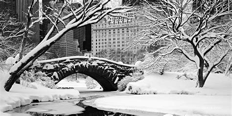 Central Park The Most Famous Park In New York United States