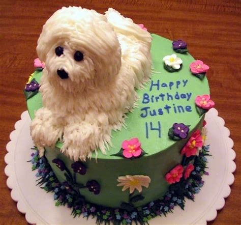 Birthday Cake For Dogs 30 Easy Doggie Birthday Cake Ideas 2018
