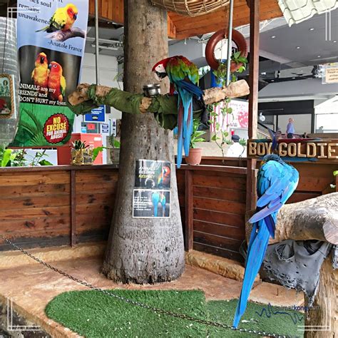 Score a good deal with our kl tower. Fun Day with Animals @ KL Tower Mini Zoo - i'm saimatkong