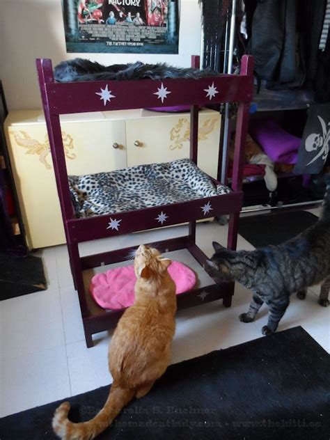 Catster Diy Make Your Own Triple Kitty Bunk Bed Catster I Think My