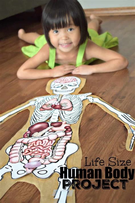 Human Body Project With Free Printables Human Body Projects Human
