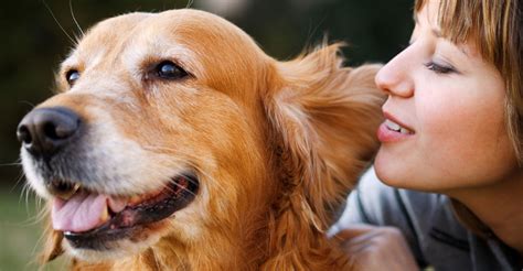 Get Your Dog Care Questions Answered By Experts