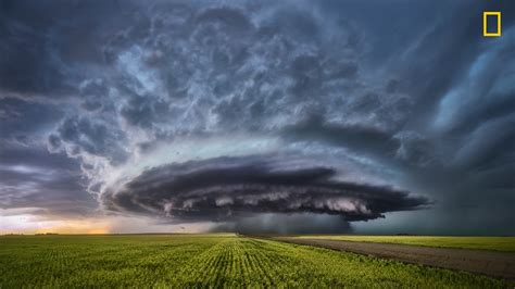 Force Of Nature Sensational Weather Wildlife Underwater