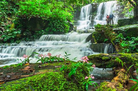 Beautiful Waterfall In Tropical Forest Stock Photo Image Of Scenery