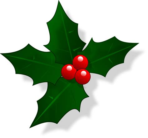 Holly Christmas Red Berry Png Png Play