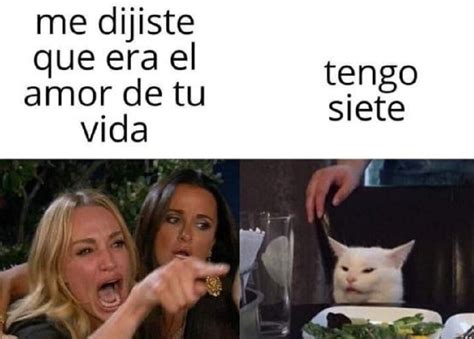 ¿de Dónde Salió El Meme Del Gato Esta Es Su Historia Y Las Mejores