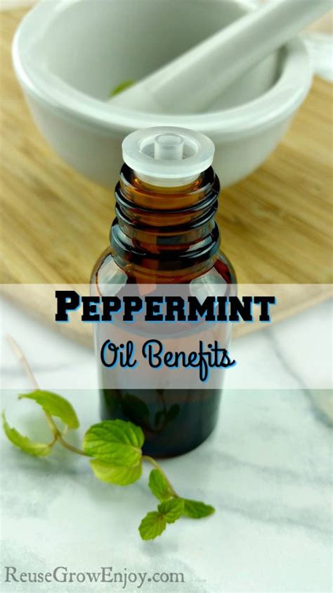 Fruit flies and gnats are repelled by the scent of essential oils like lavendar, basil, lemon oil, vanilla, peppermint etc. Peppermint Oil Benefits - Reuse Grow Enjoy