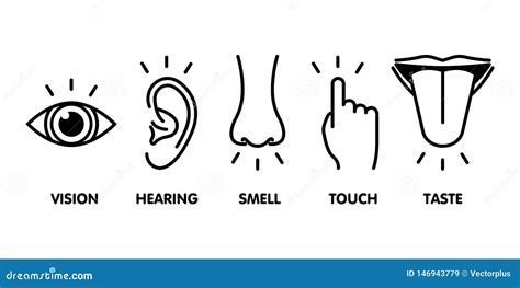 Icon Set Of Five Human Senses Vision Eye Smell Nose Hearing