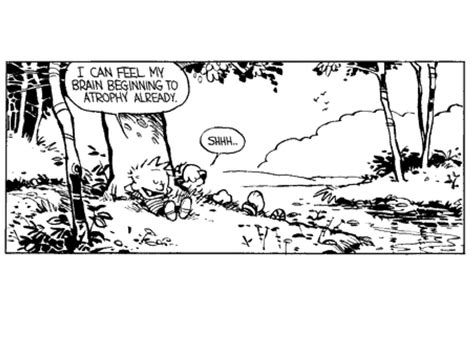 Calvin and hobbes quotes 2021. Famous quotes about 'Calvin And Hobbes' - Sualci Quotes 2019