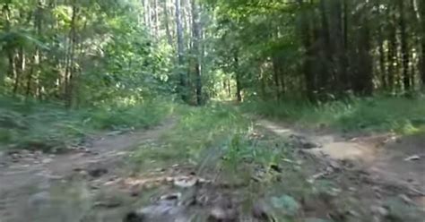 Alabama Bigfoot Encounter