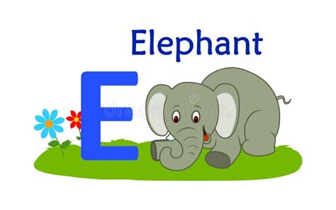 Animal Alphabet Ee For Elephant Stock Vector Illustration Of Letter